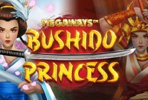 Bushido Princess slot